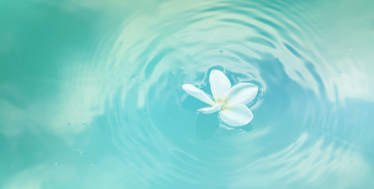 Water: The 4 Elements of Self Care Series