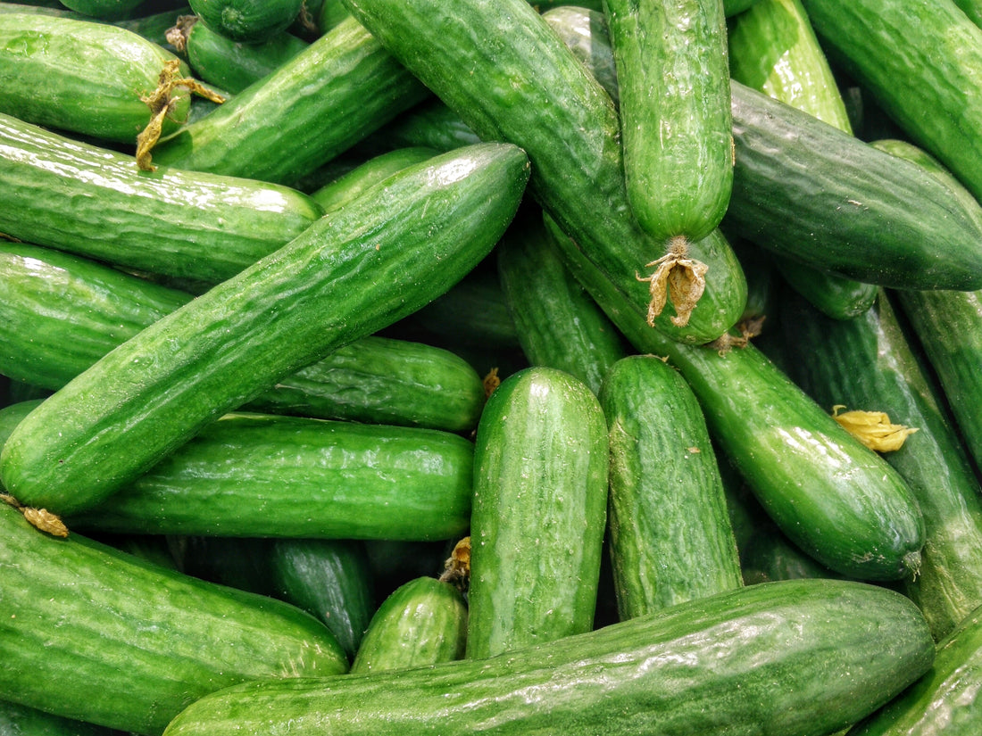 Cucumis Sativa (Cucumber) Oil